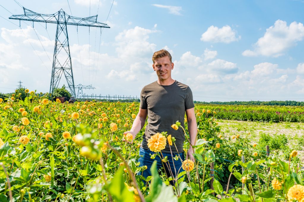 Vrijwilliger Jordy in het veld met dalia's